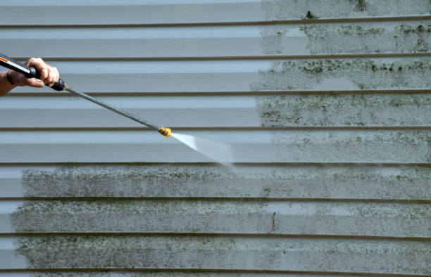 Paint Preparation in South Miami Heights, FL